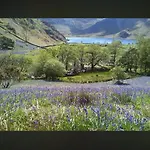 West Cumbria Static Caravan Апартаменты Вёкингтон