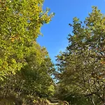 Apartment West Cumbria Static Caravan *