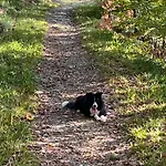 West Cumbria Static Caravan *