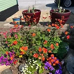 West Cumbria Static Caravan Apartment Workington