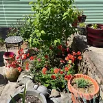 Apartment West Cumbria Static Caravan