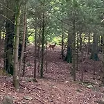 West Cumbria Static Caravan *