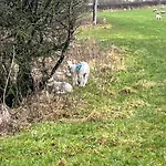 West Cumbria Static Caravan Apartment