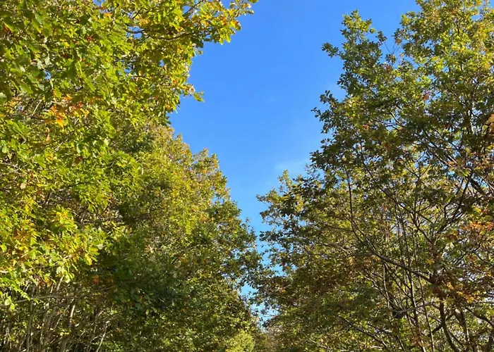 Apartamento West Cumbria Static Caravan *