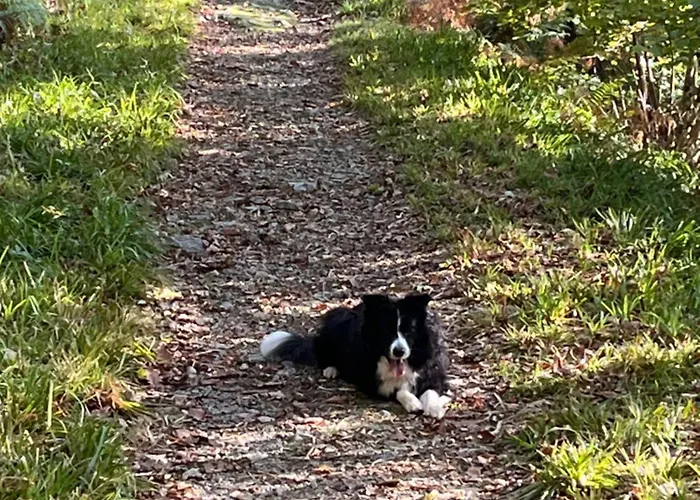 West Cumbria Static Caravan *