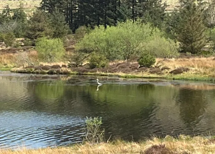 West Cumbria Static Caravan *