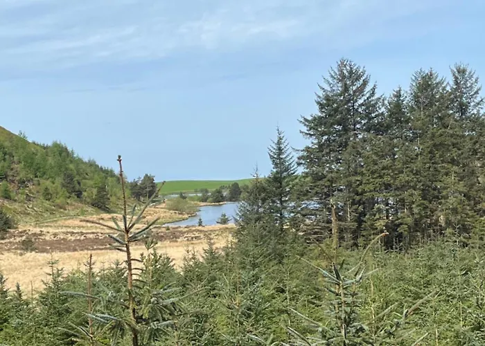 Apartamento West Cumbria Static Caravan *