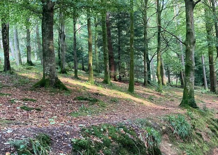 Apartamento West Cumbria Static Caravan Workington