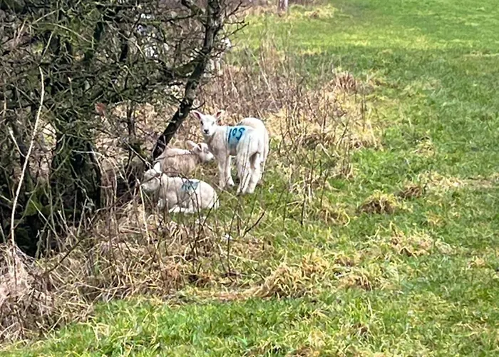 West Cumbria Static Caravan Apartamento