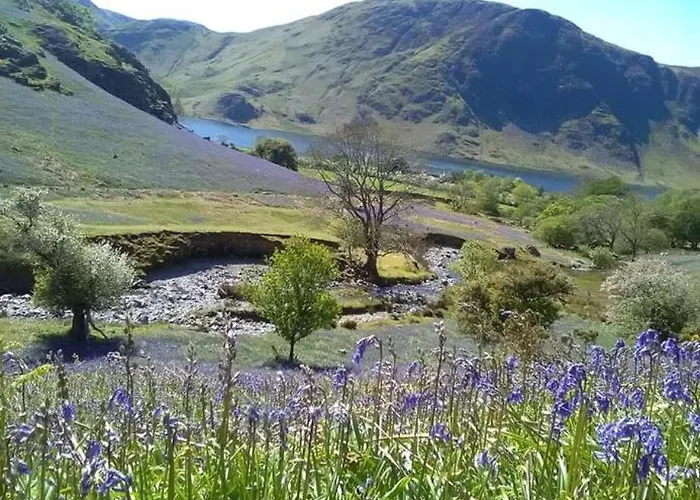 Apartamento West Cumbria Static Caravan *