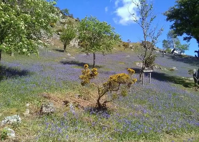 Apartamento West Cumbria Static Caravan *