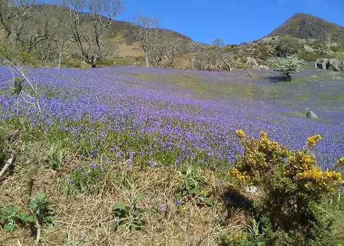 Apartamento West Cumbria Static Caravan Workington