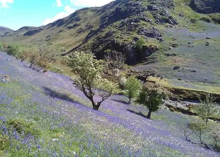 Apartamento West Cumbria Static Caravan *