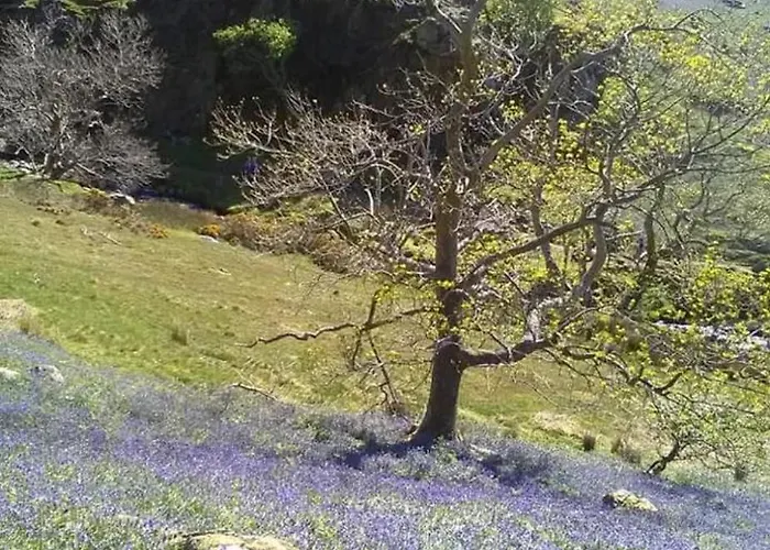 West Cumbria Static Caravan Apartamento Workington